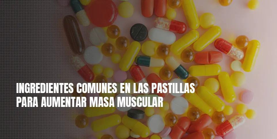 Ingredientes comunes en las pastillas para aumentar masa muscular